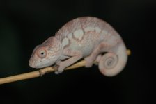 DSC_0669.jpg