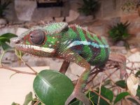 IMG_20121005_174340.jpg