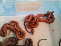 20130612_101032.jpg