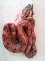 20130612_100810.jpg