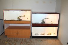 IMG_8395.JPG