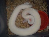 20130620_091406.jpg