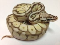 photo (2).JPG