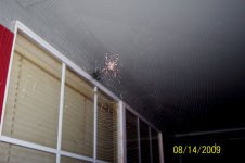 porchspidey.JPG