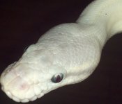 2011-10-21_22-16-31_337.jpg