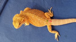 20131026_144712.jpg