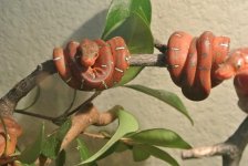 DSC_6752.jpg