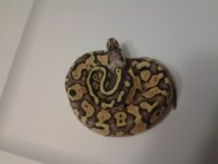20131120_102949.jpg