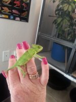 20131027_164714.jpg