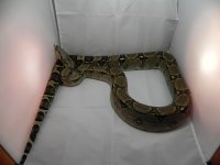 DSCN1709.JPG