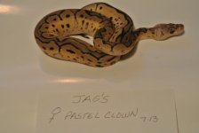 JAG'S 10-7-13 004.jpg
