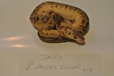 JAG'S 10-7-13 002.jpg