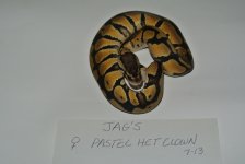 JAG'S 10-7-13 013.jpg