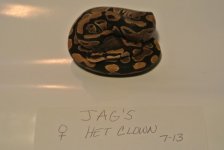 JAG'S 10-7-13 006.jpg