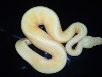 20130207_002654.jpg