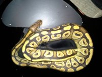 20130207_000911.jpg