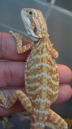 IMAG0897.jpg