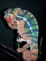 20131001_020923.jpg