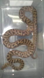 2013-11-20_23-56-21_946.jpg