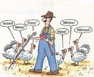 Thanksgiving.jpg