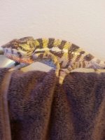 20140223_153116.jpg