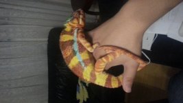 20130407_202945_1.jpg