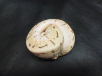 enchi spinner 2.jpg