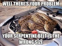 serp belt.jpg