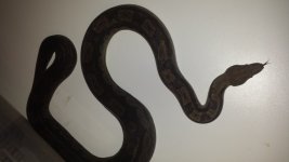 20140428_235929.jpg