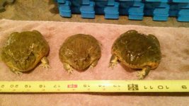 20141001_190843.jpg