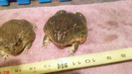 20141001_190856.jpg