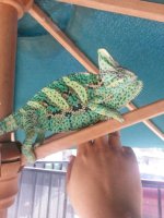 20140709_114447.jpg