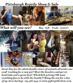 reptile show flyer.jpg