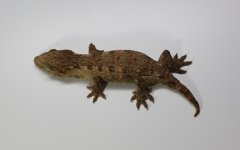 IMG_9709smaller.jpg