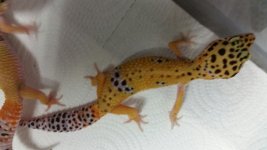 20150125_162706.jpg