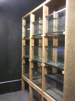 blackroom2.jpg