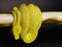 DSC00627.JPG