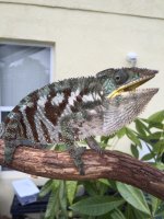 IMG_2039.jpg