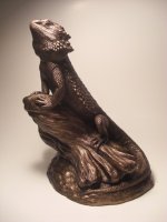 watching over bearded dragon.jpg