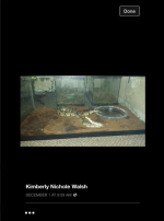 Kimberly Nichole Walsh 2.PNG
