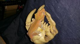 20150503_162556.jpg
