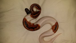 20150401_135533.jpg