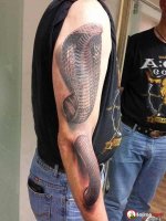 funny-snake-3d-tattoo-design-on-man-arm-images.jpg