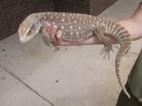 tegunsavannah 008.jpg