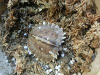 20151024_073331.jpg