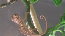 20150618_075920.jpg