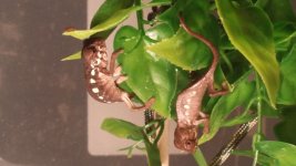 20150618_075853.jpg