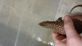 20150823_131930.jpg