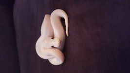 20150926_172908.jpg