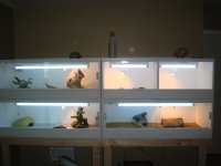 My cages.jpg
